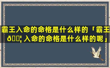 霸王入命的命格是什么样的「霸王 🐦 入命的命格是什么样的呢」